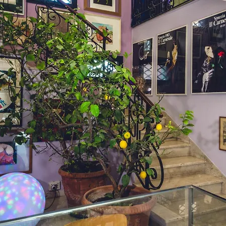 Library House - Venice